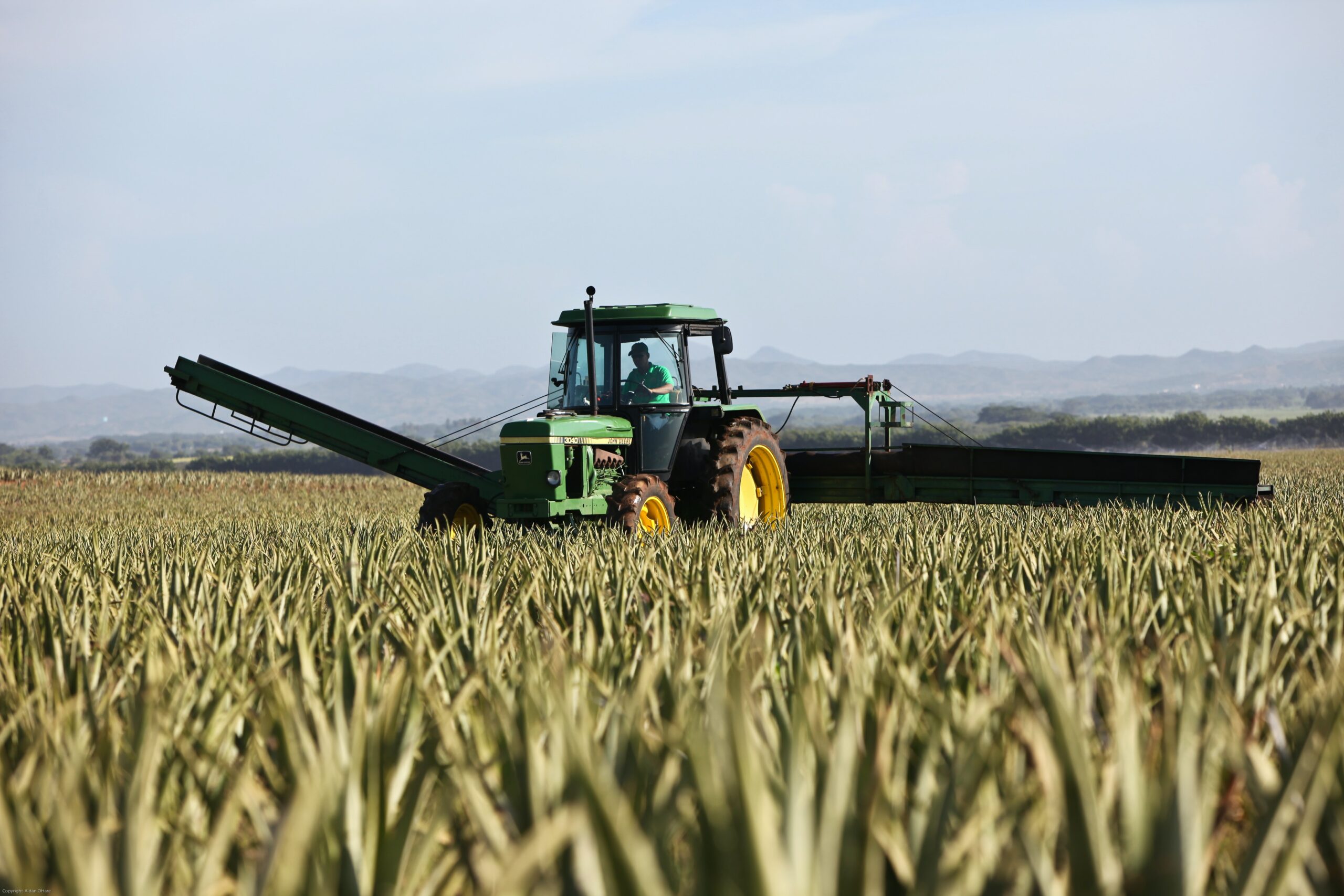 Tractor on Farm.